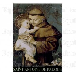 Calamita cristiana – Sant'Antonio di Padova