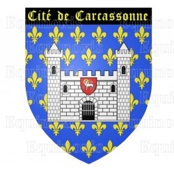 Calamita regionale – Blasone Cité de Carcassonne